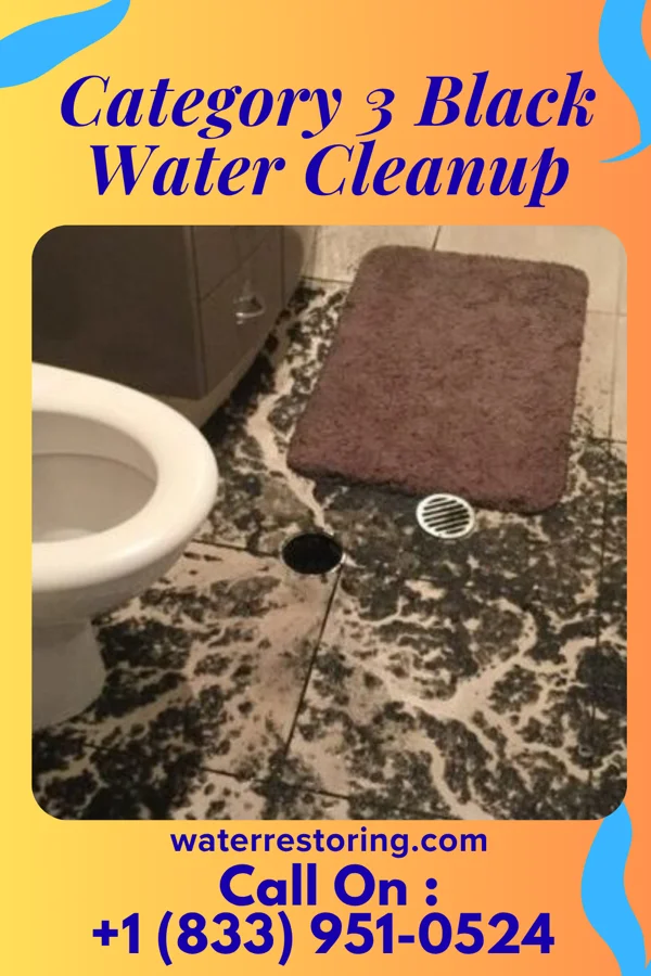Category 3 Black Water Cleanup in Kohler, WI