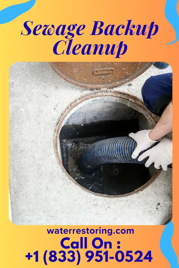 Sewage Backup Cleanup in Kohler, WI