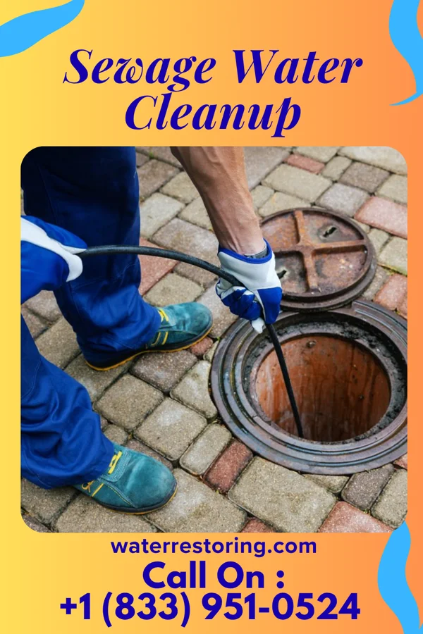 Sewage Water Cleanup in Kohler, WI