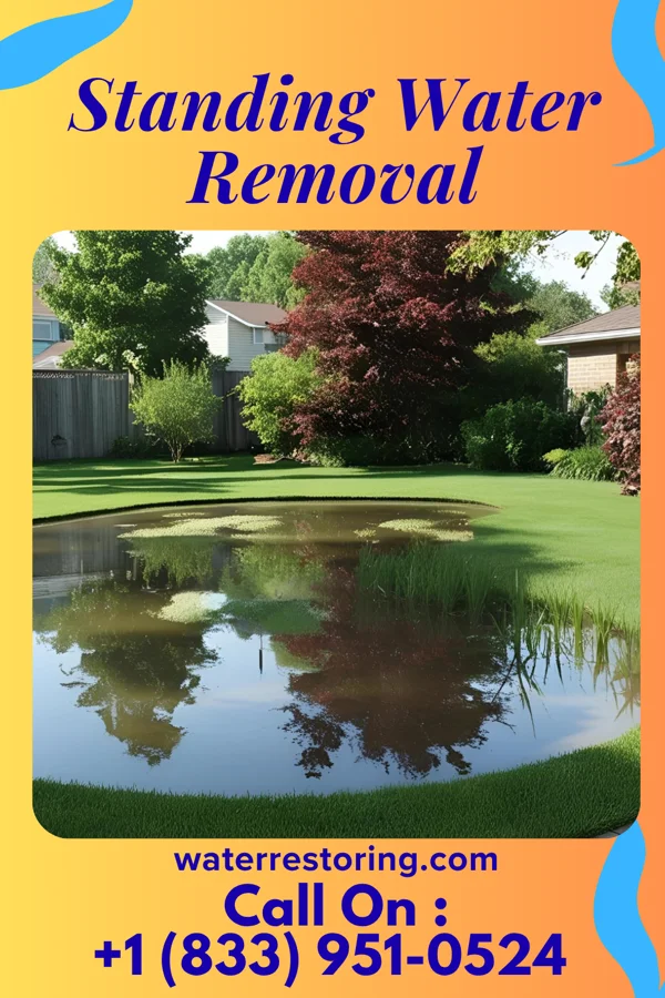 Standing Water Removal in Kohler, WI